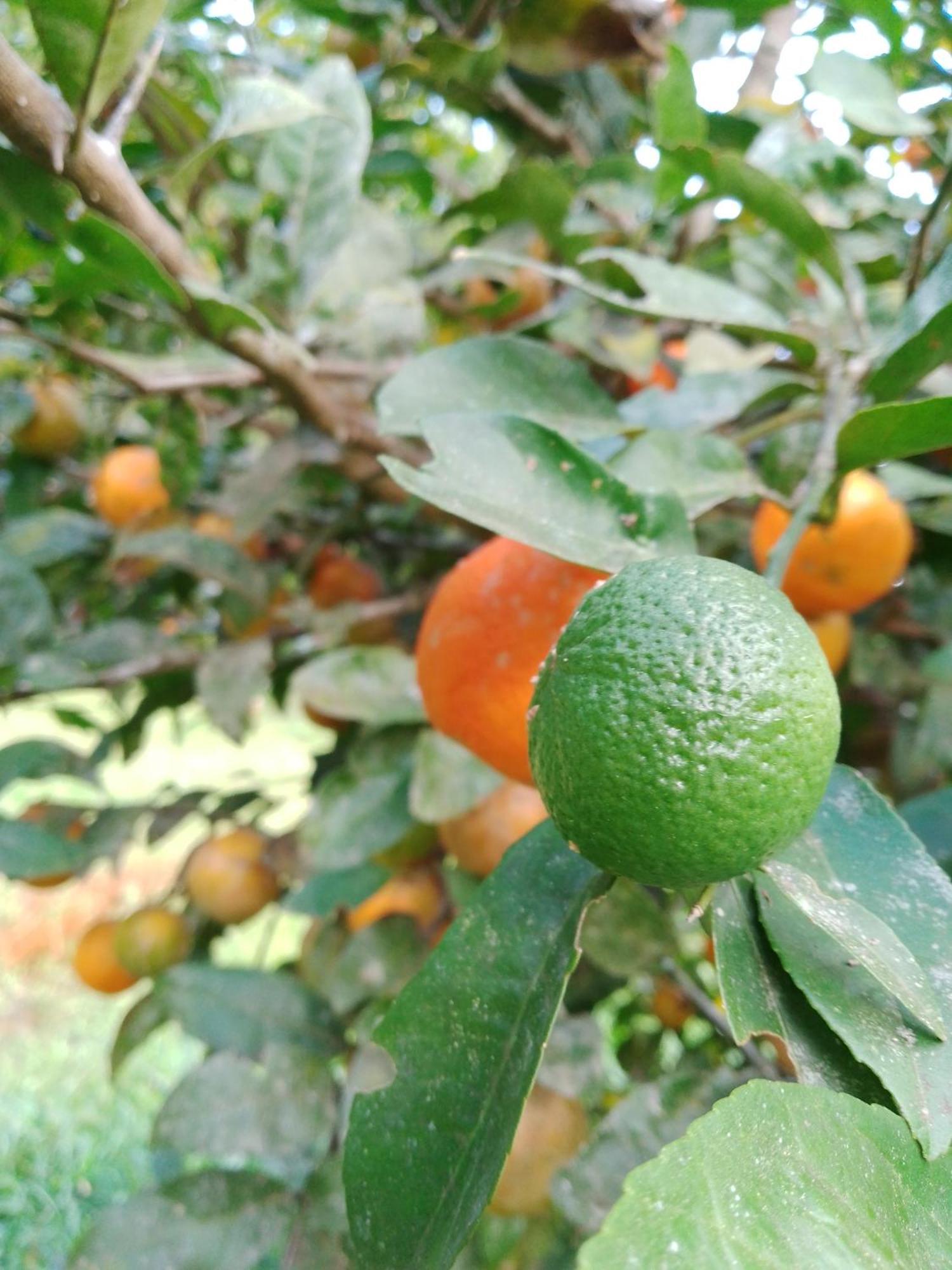 Rancho Pe Da Pedra Villa Sao Bento do Sapucai Phòng bức ảnh