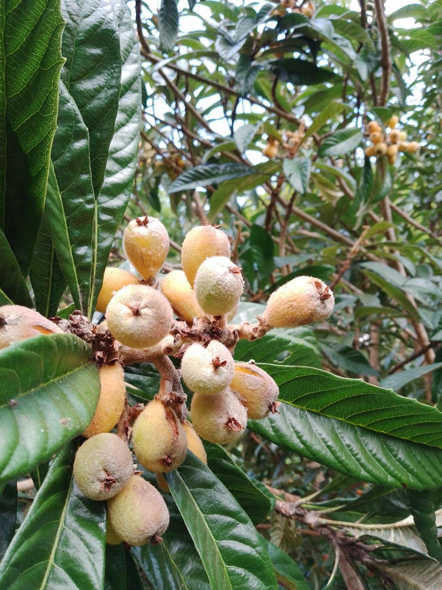 Rancho Pe Da Pedra Villa Sao Bento do Sapucai Phòng bức ảnh